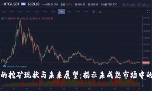 虚拟币钱包的挖矿现状与未来展望：揭示未成熟市场中的机遇与挑战