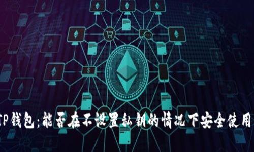 TP钱包：能否在不设置私钥的情况下安全使用？