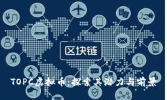 TOPC虚拟币：探索其潜力与前景