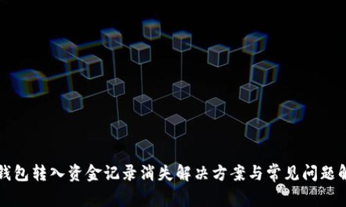TP钱包转入资金记录消失解决方案与常见问题解析
