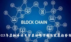 2023年虚拟币项目分类标准详解及发展趋势分析