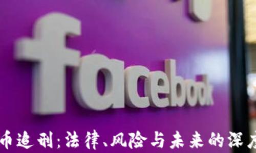 
虚拟币追刑：法律、风险与未来的深度解析