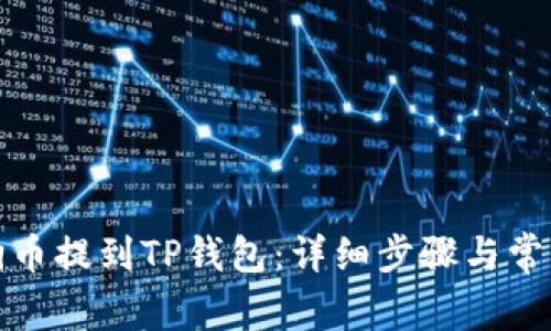 如何将狗狗币提到TP钱包：详细步骤与常见问题解答