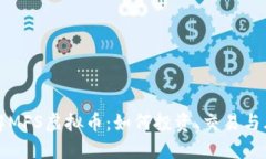 深入了解MFS虚拟币：如何投资、交易与风险管理