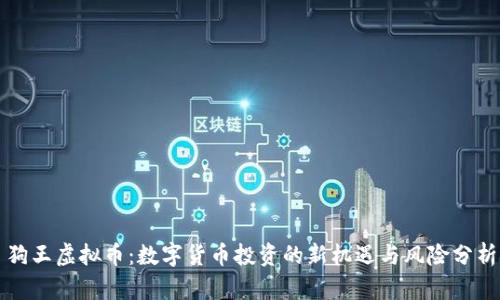 狗王虚拟币：数字货币投资的新机遇与风险分析