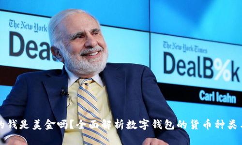 TP钱包中的钱是美金吗？全面解析数字钱包的货币种类与使用方式