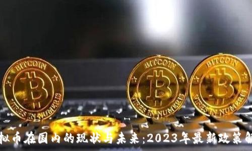   
虚拟币在国内的现状与未来：2023年最新政策解析