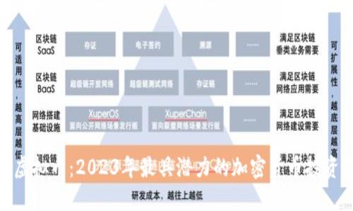 猴币虚拟币：2023年最具潜力的加密货币投资选择