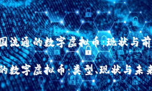 在中国流通的数字虚拟币：现状与前景

中国的数字虚拟币：类型、现状与未来展望